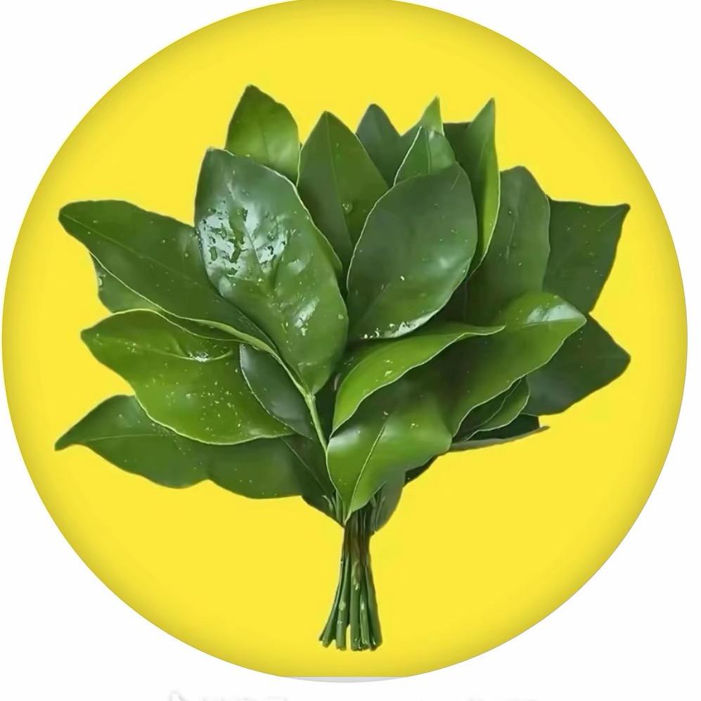 柠檬酸不酸🍋