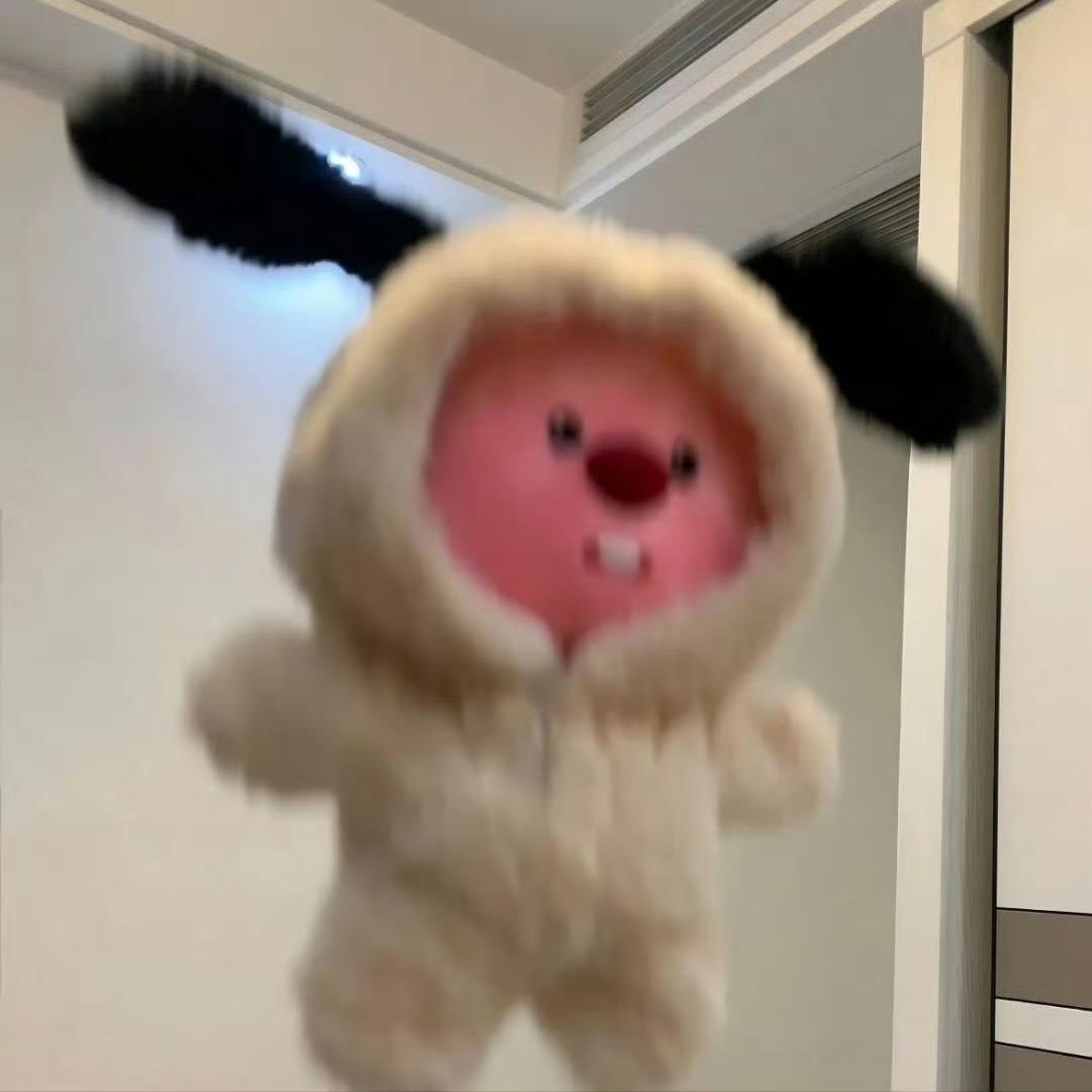 我藏好啦🕊