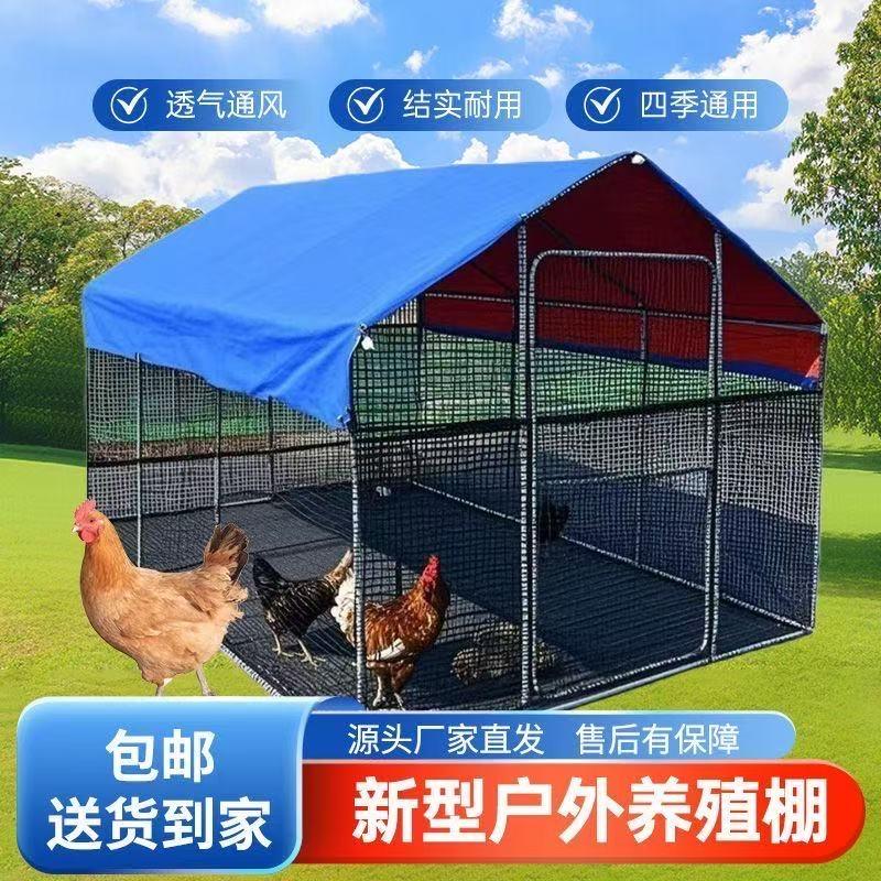 洋羊阳光养殖棚