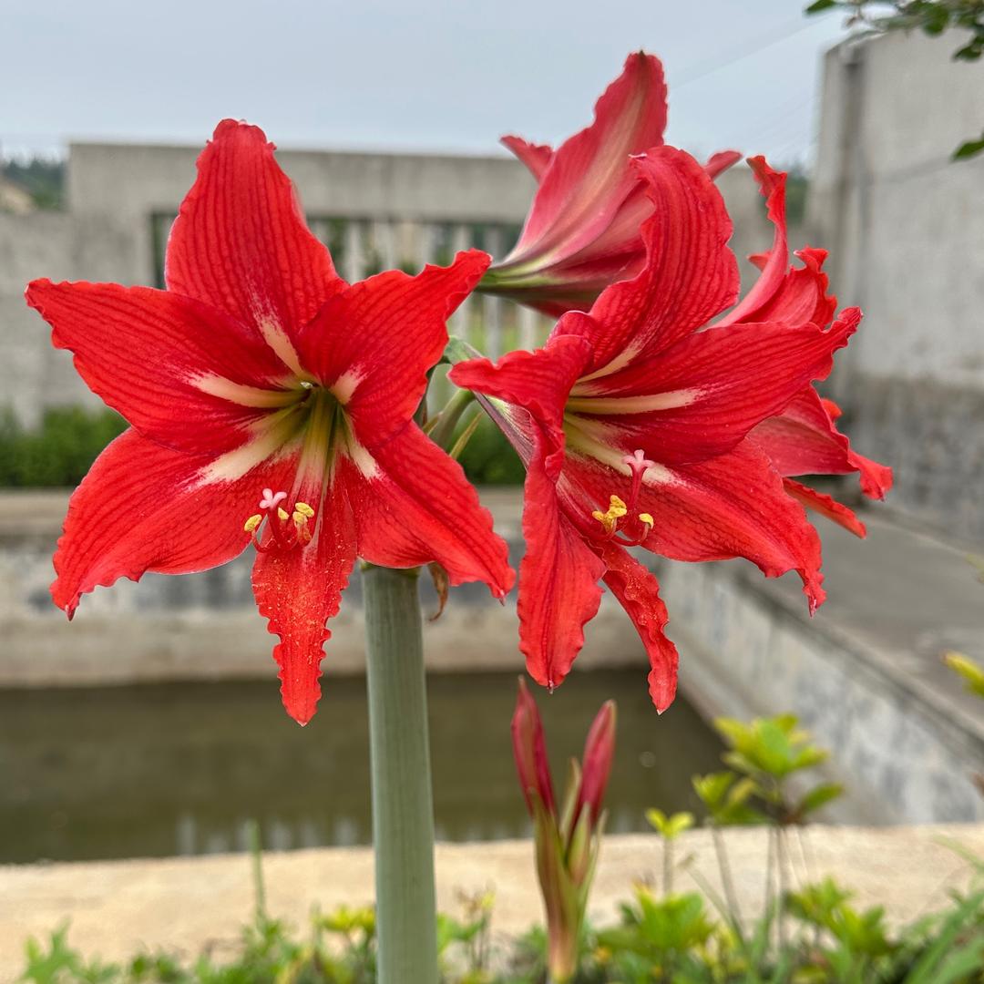 💓利🌸宝💓