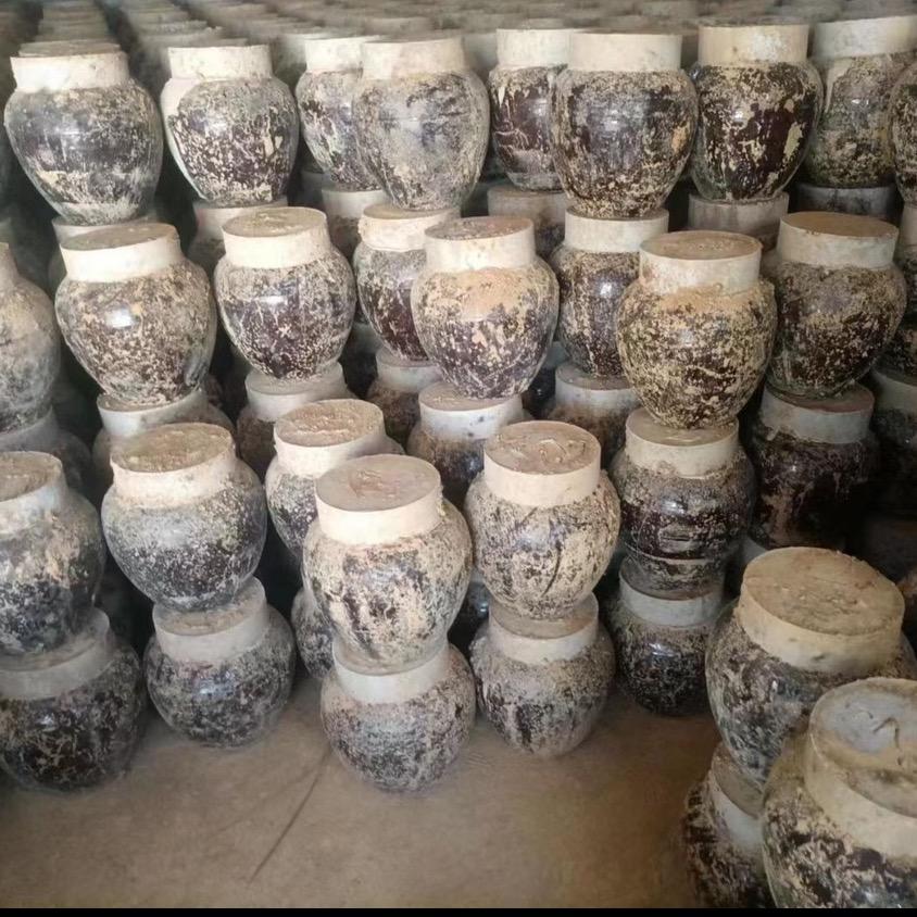 客家地窖酒-小林