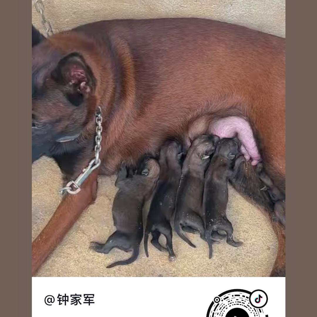 神哥