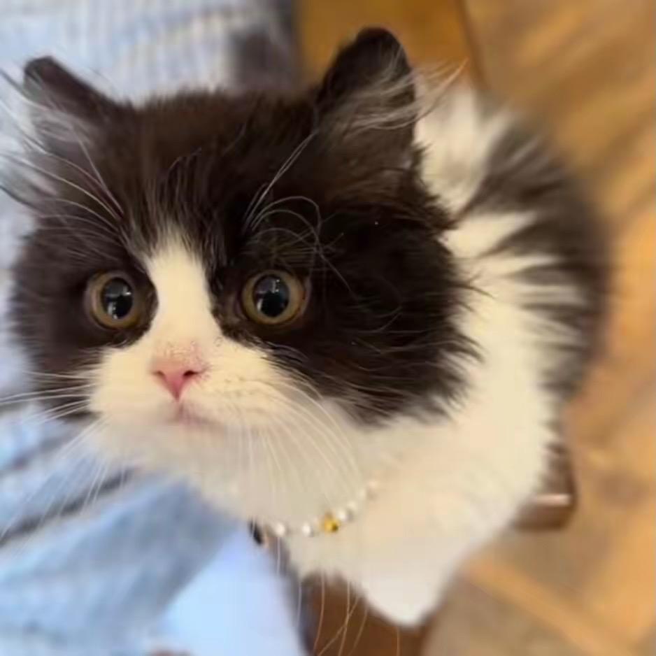 广州女装工厂店