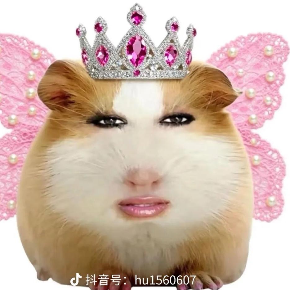 仙女下凡猪妞？