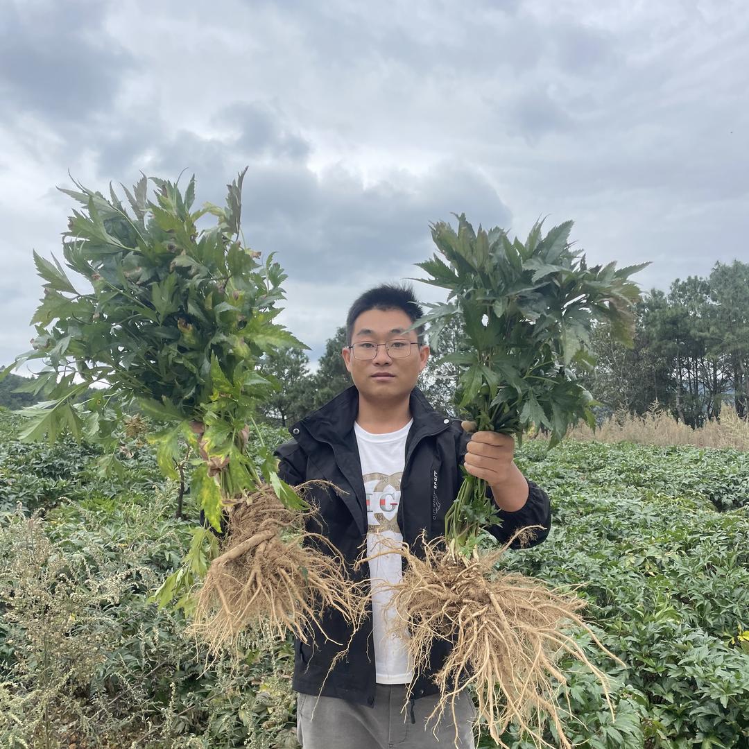 徐小小生鲜