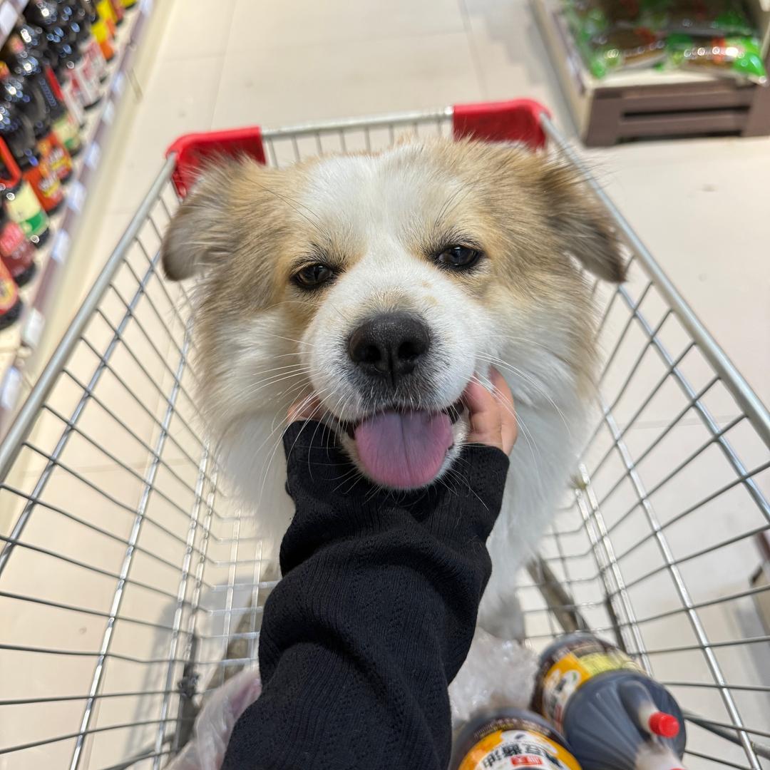 圈住苹果味小勾