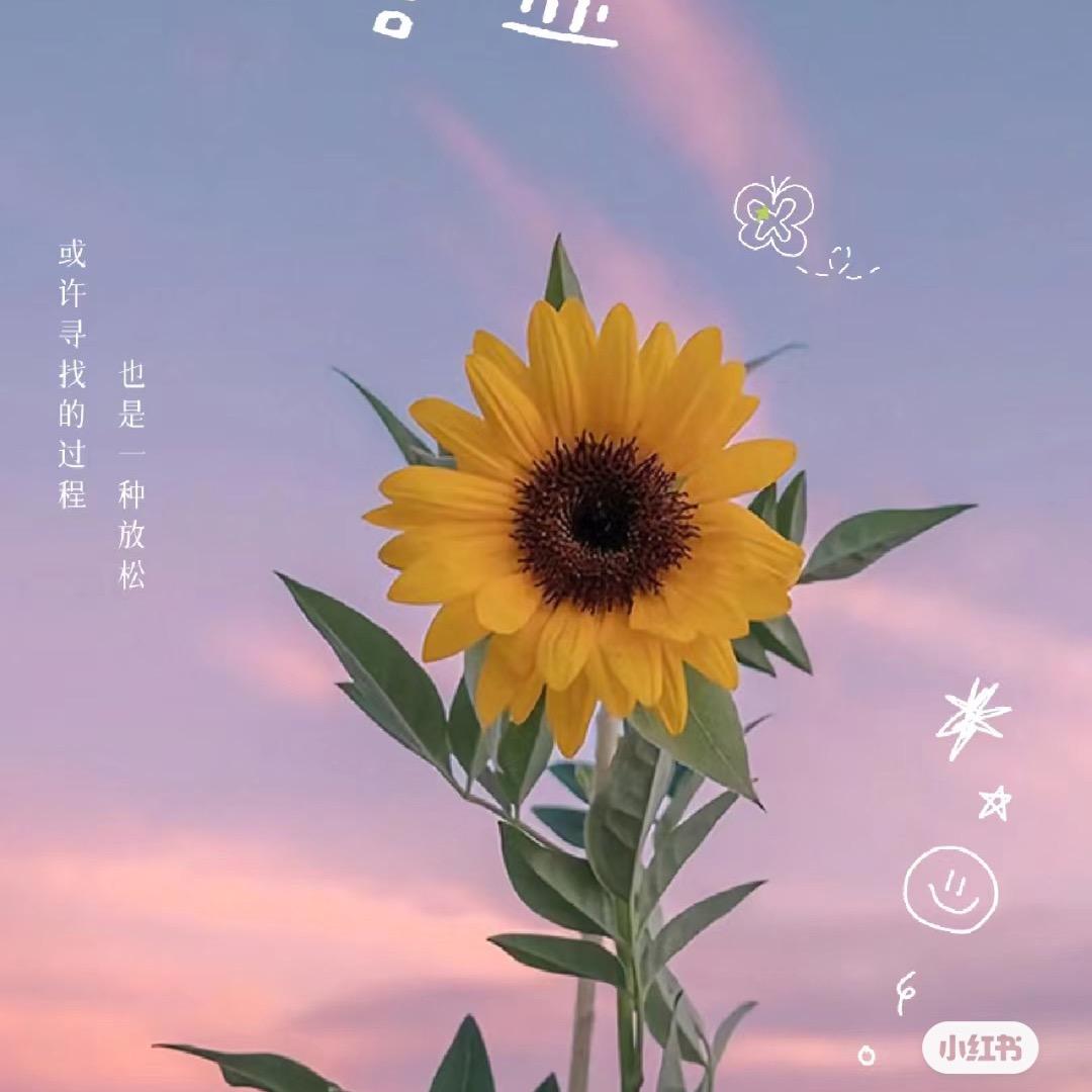 笑笑1122