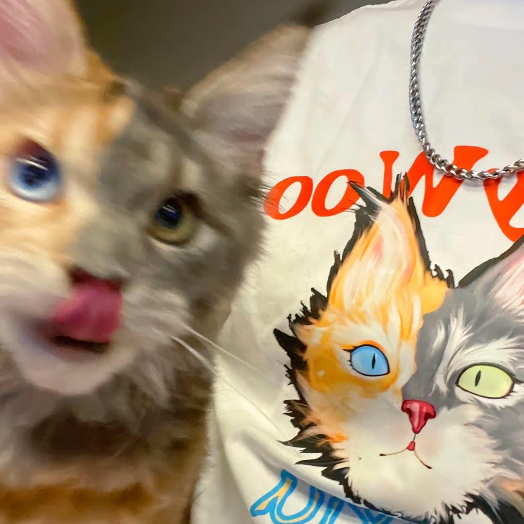 Qqqq