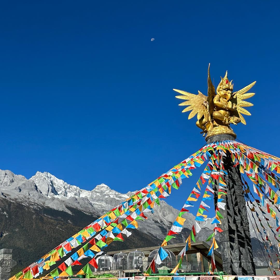 营口一汽丰田 - 志勇