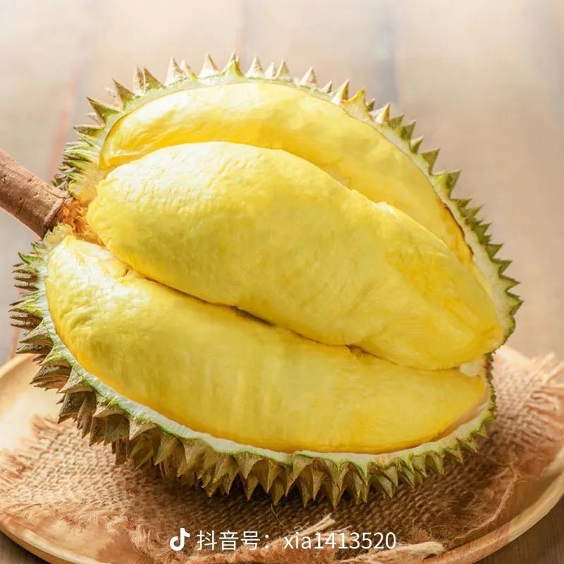 榴莲啊（星雅鑫）