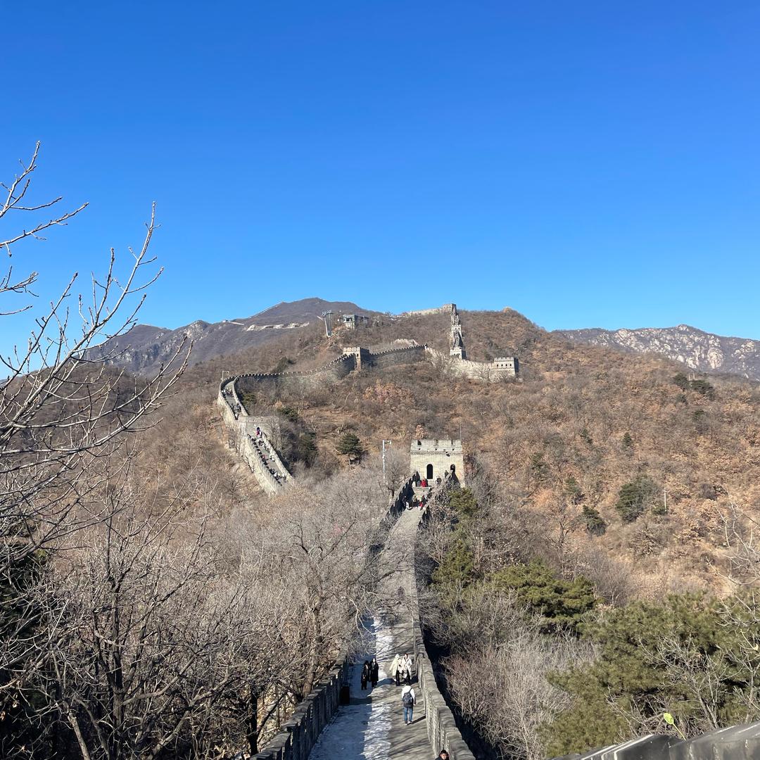 字名的我读会不你