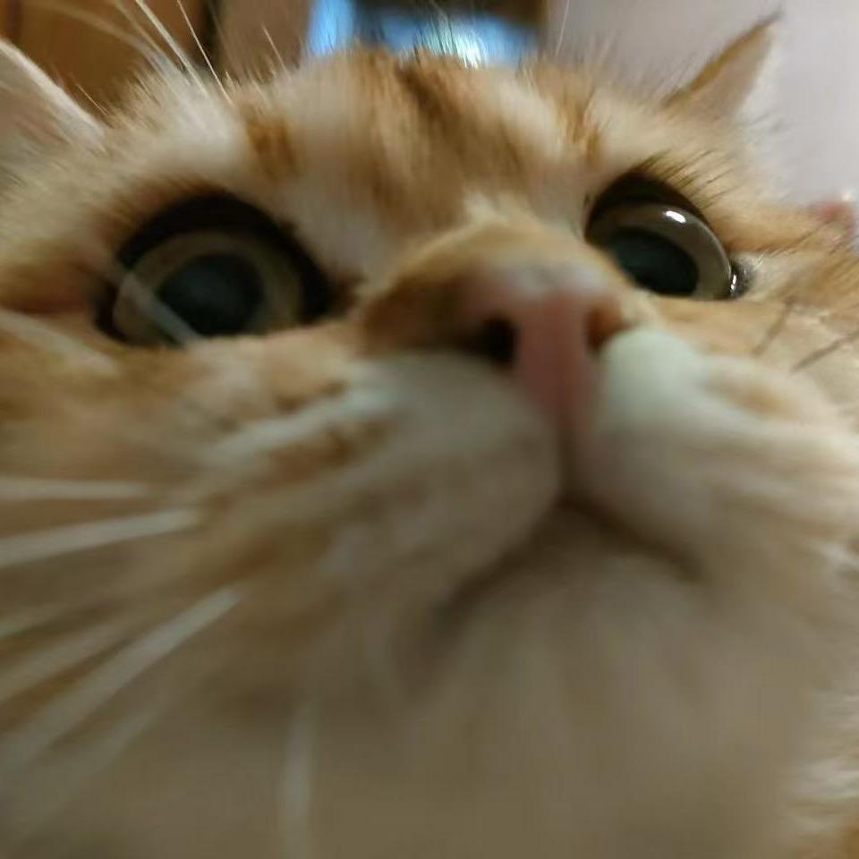 要自律