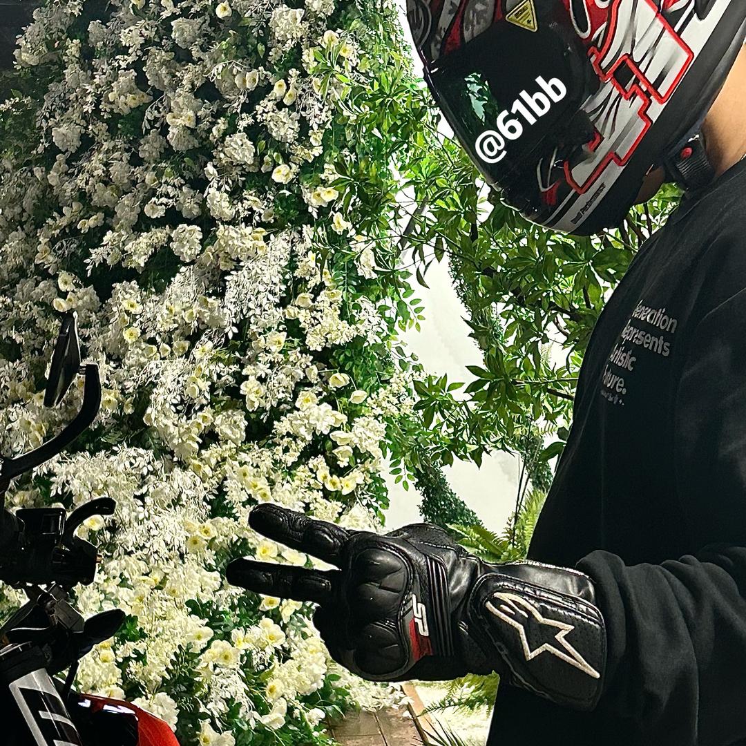 61bb
