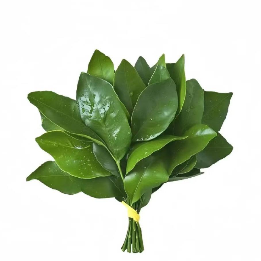 夏夏老婆