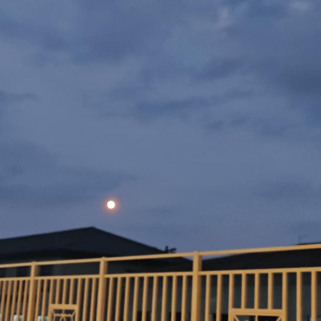 可樂૮₍♡♡₎ა
