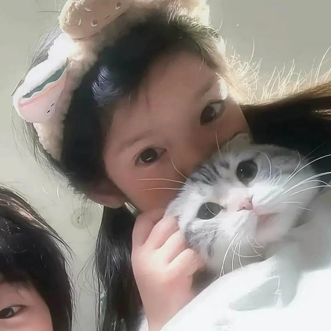 青狐狸
