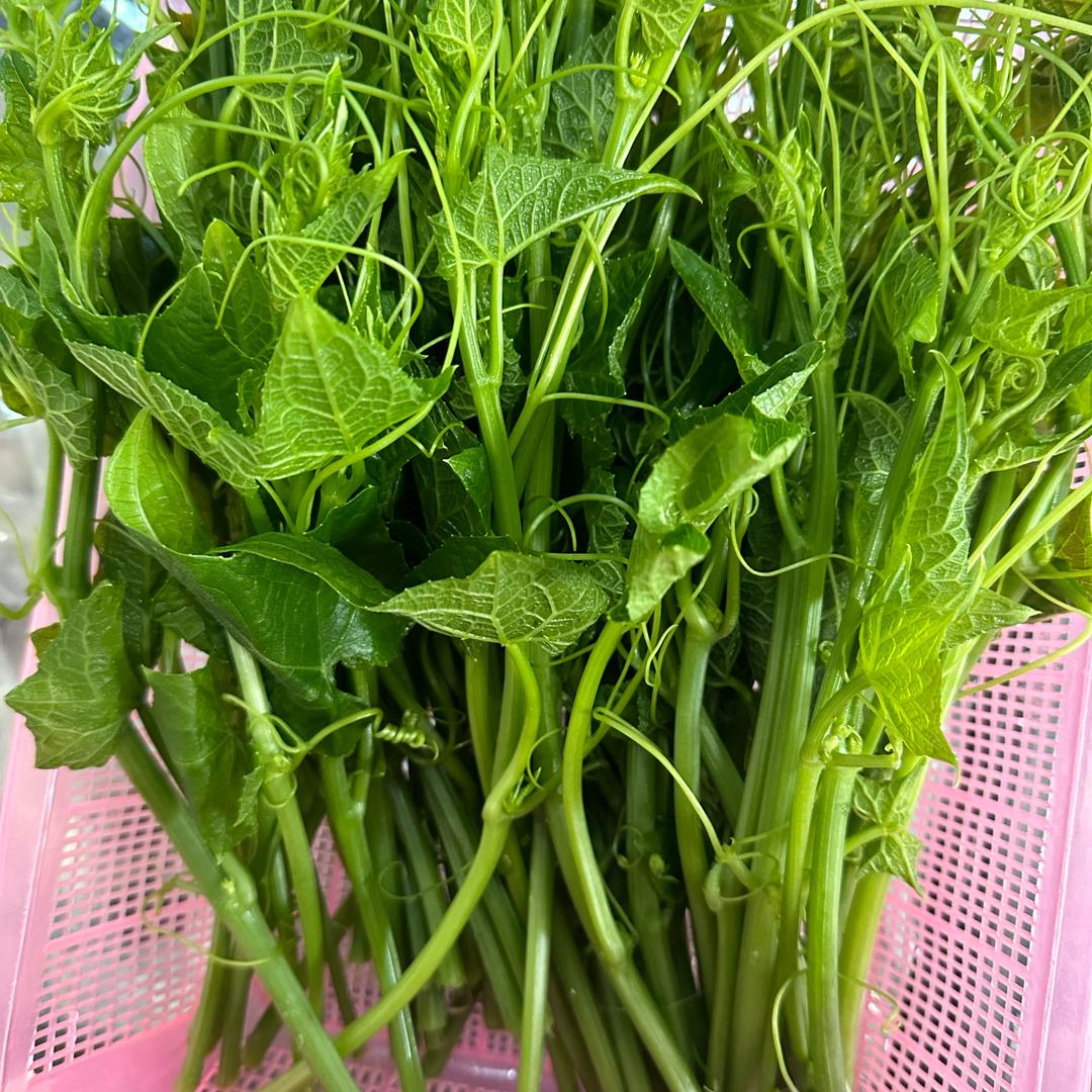 旭达孟定凯雄小区售楼部