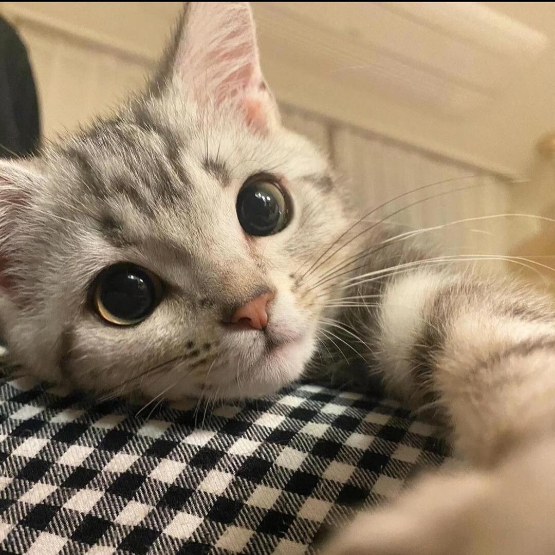 在深秋