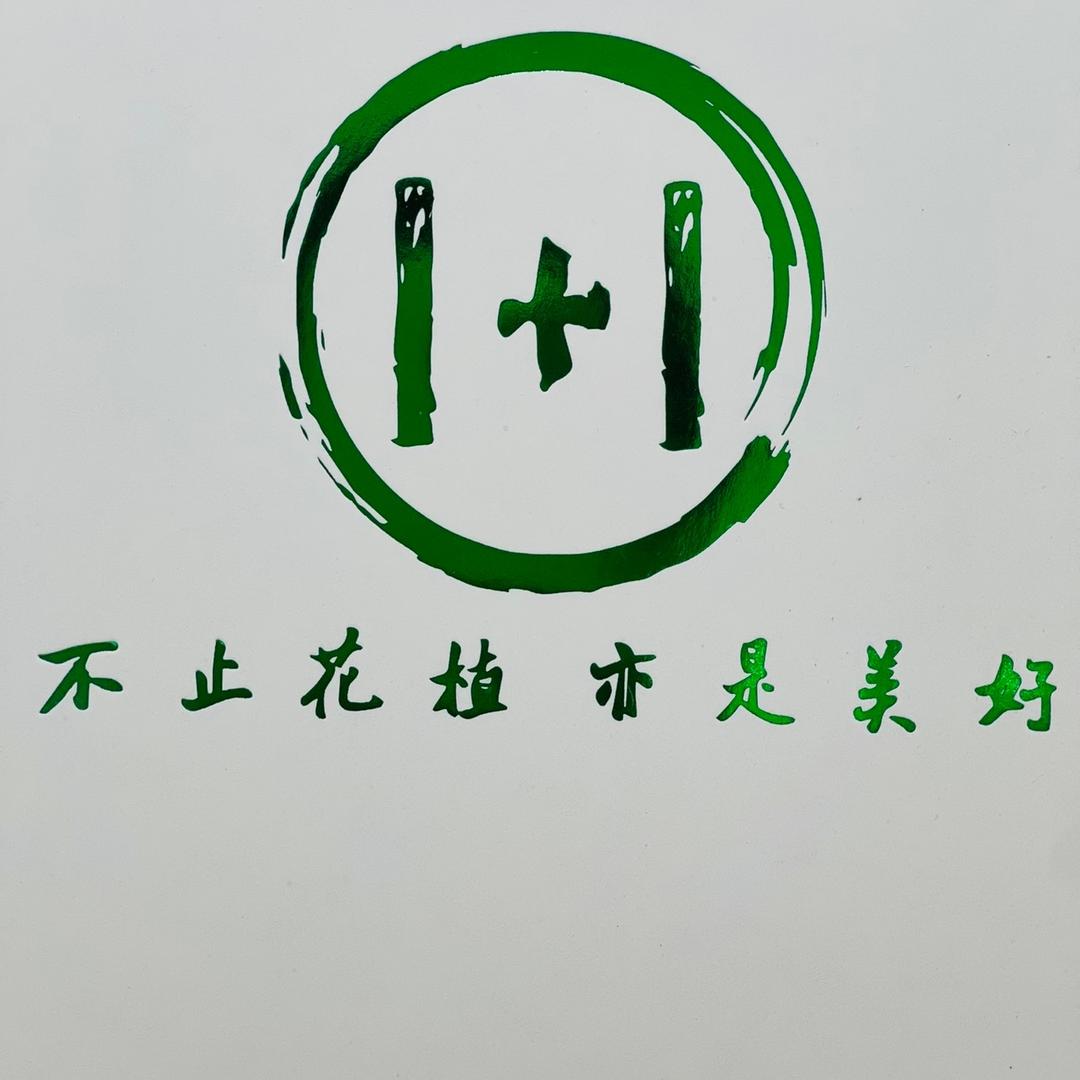 沧州1+1鲜花铺