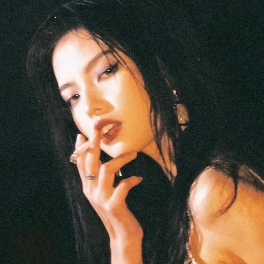 火鸡苗