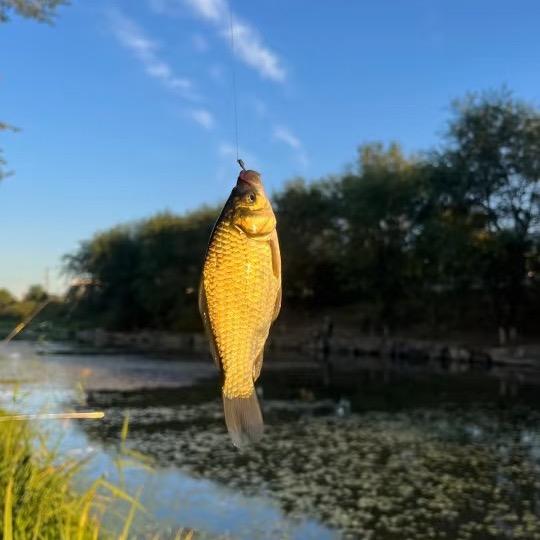 小张爱钓鱼🎣
