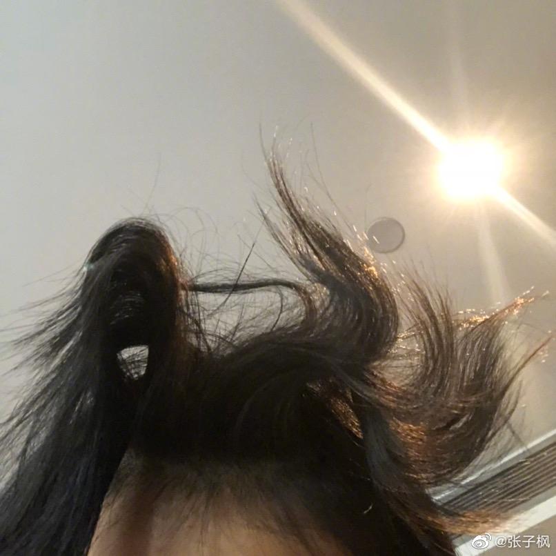 丝稳笋