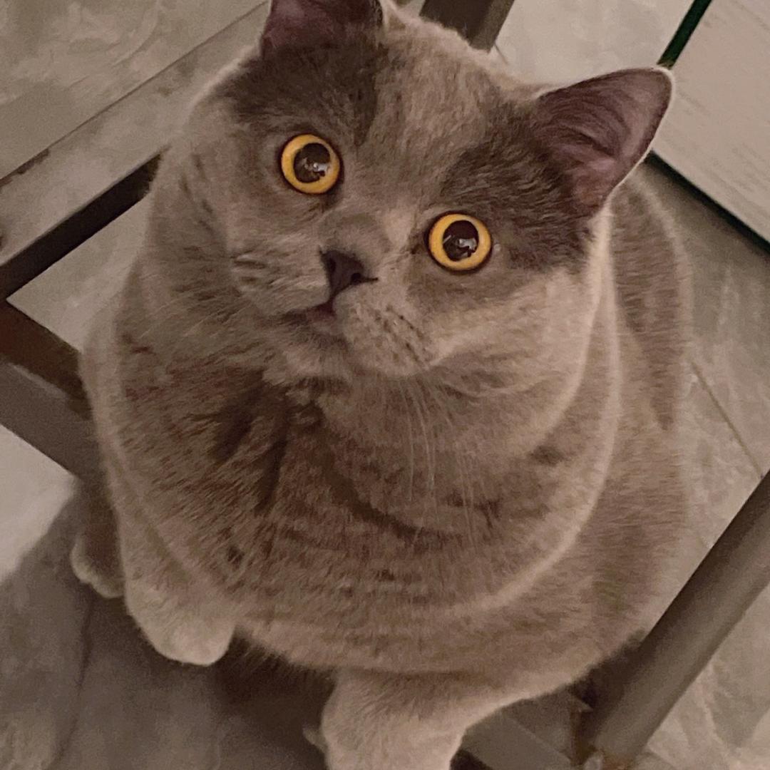 勿念