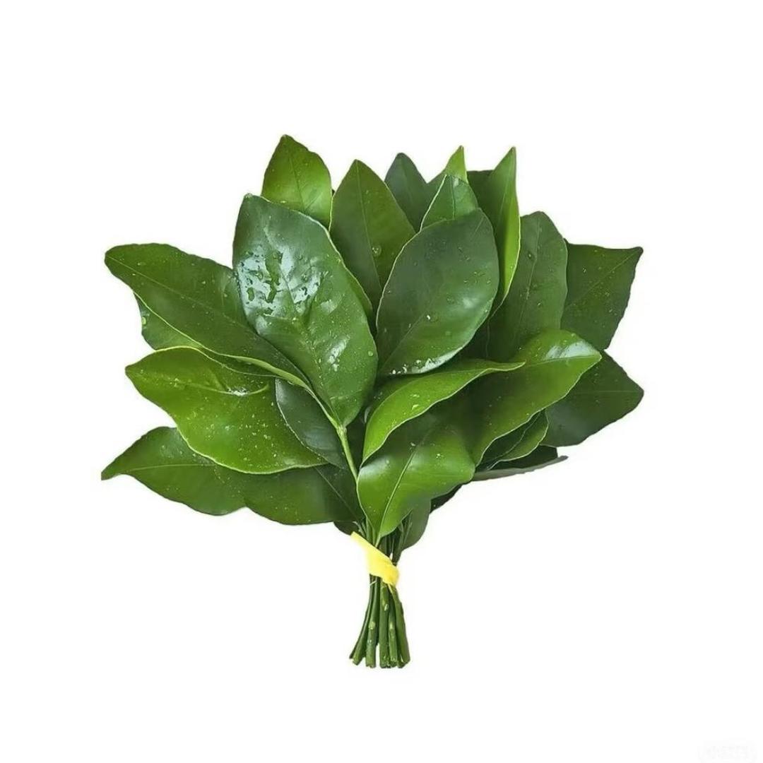ˢy.
