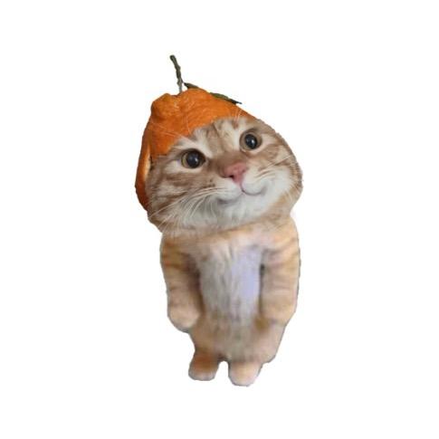 芋泥涛少