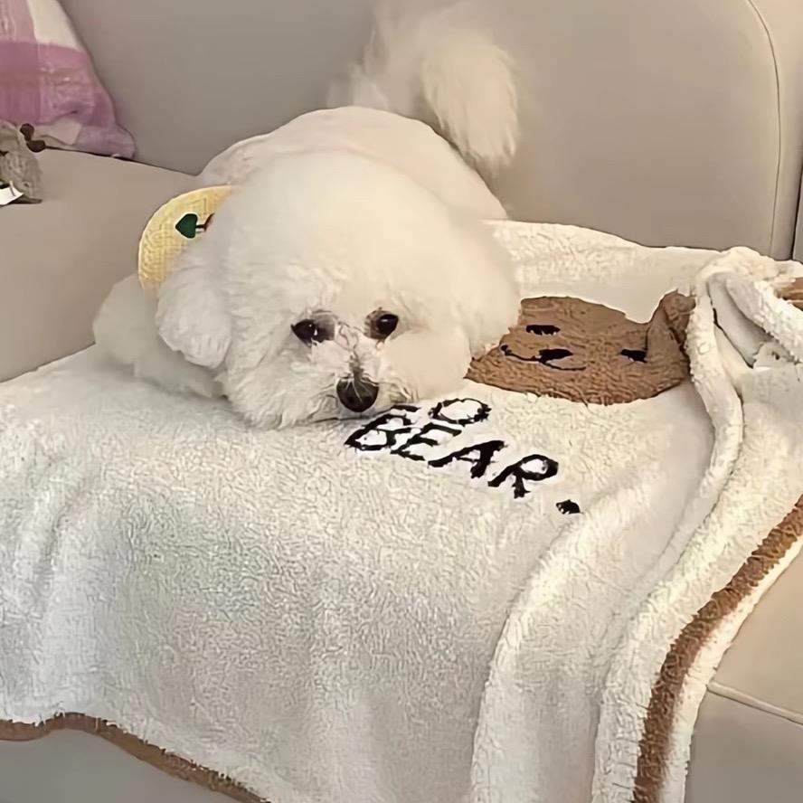 零点黄昏.🐰