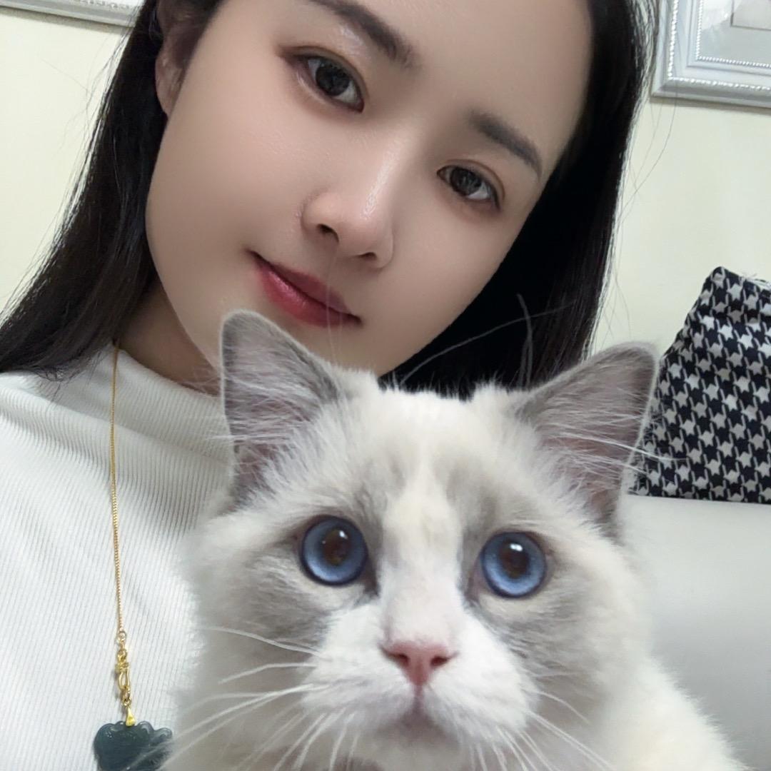 嗨！喵小姐🎀