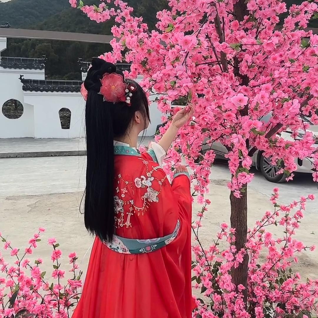 妙妙来了