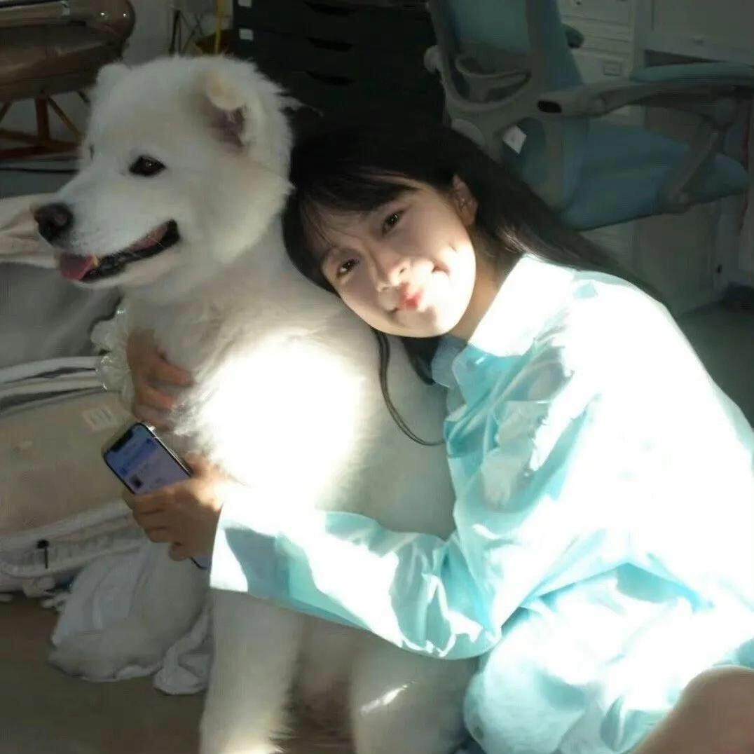 反派冷酷小狗