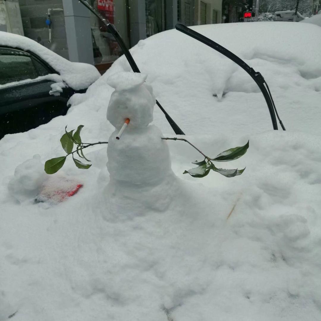 想看雪