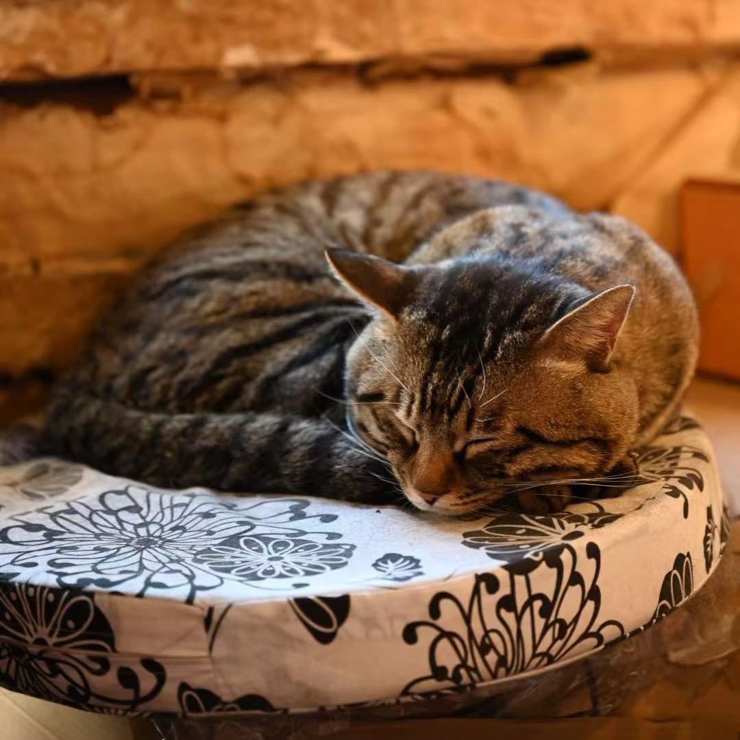 雨鑫又在打电动