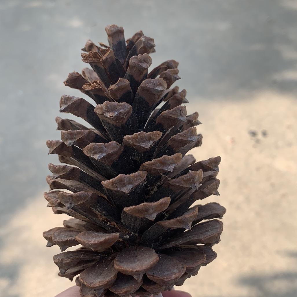 贻杰百货优选