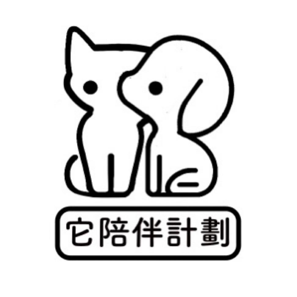 济南猫窝它陪伴计划-阳阳