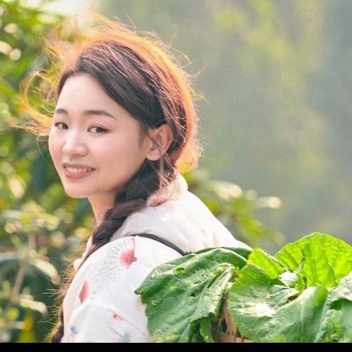 小杨梅