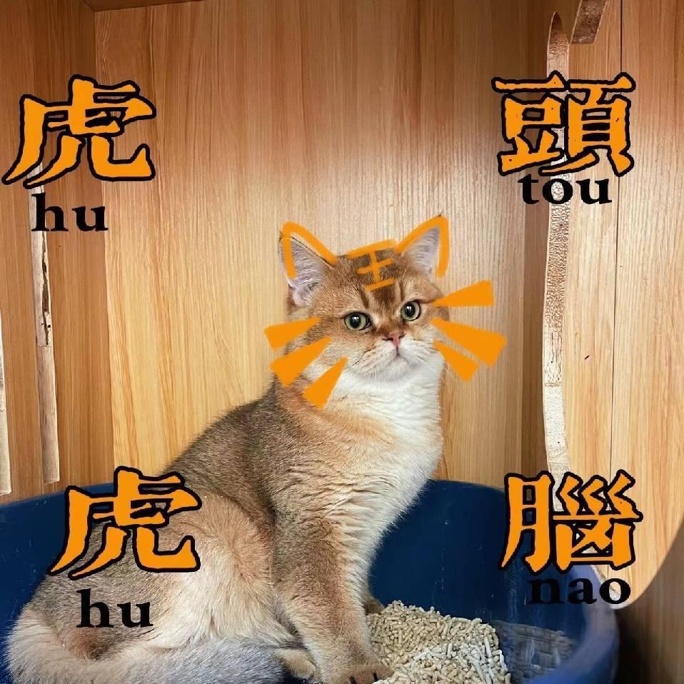 为梦而飞