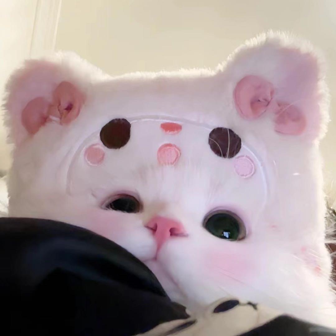 鱼小七q