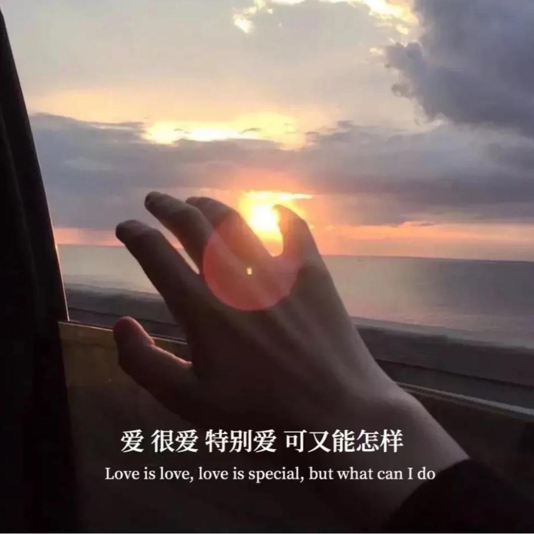 老菜花创意精品铺