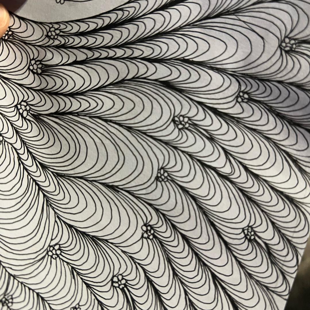 满地芝麻