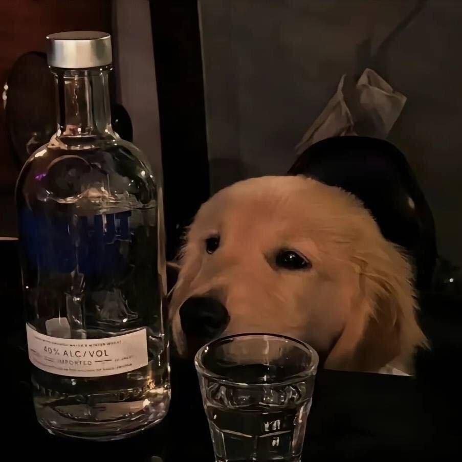 酣睡小熊、（外卖版）