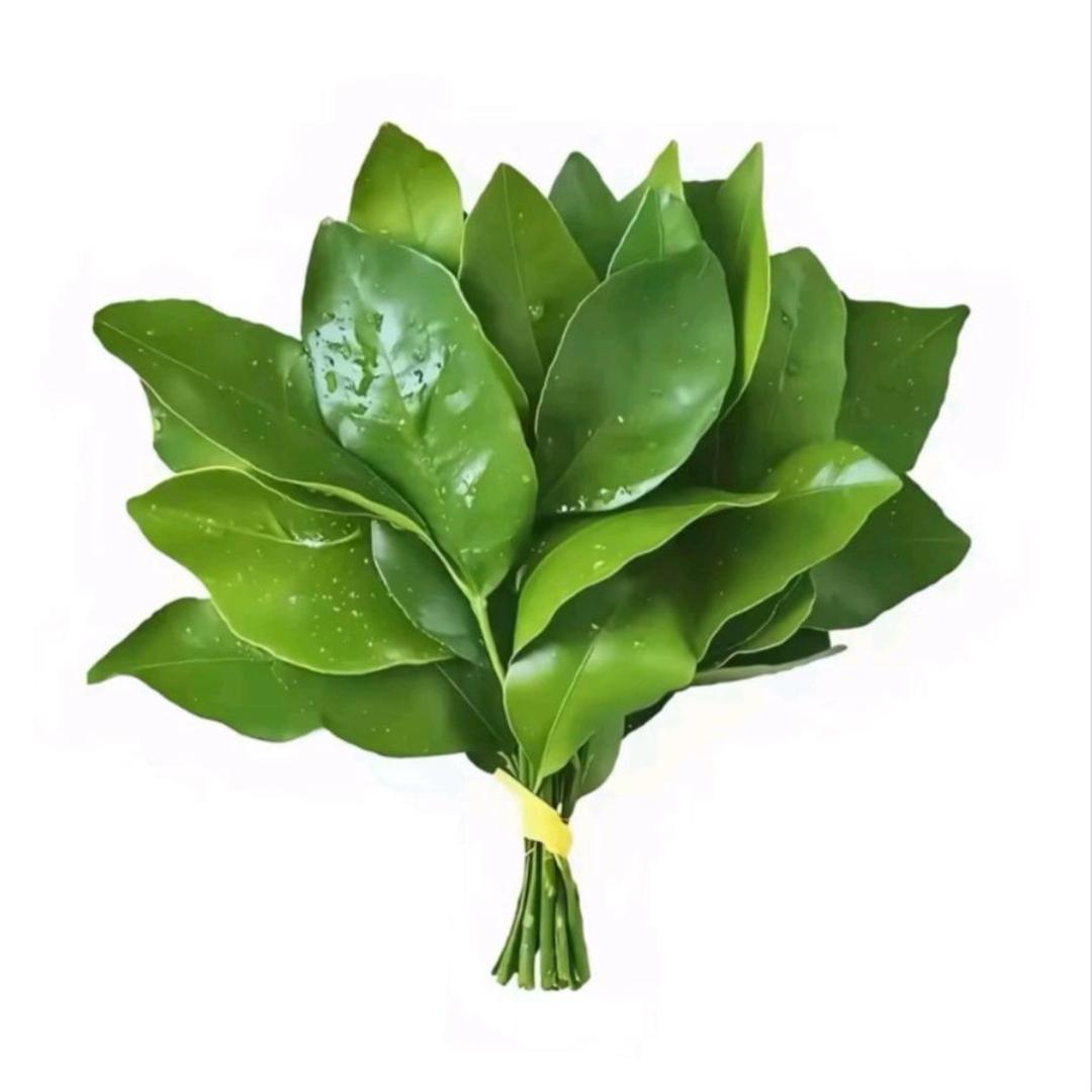 卷心菜～