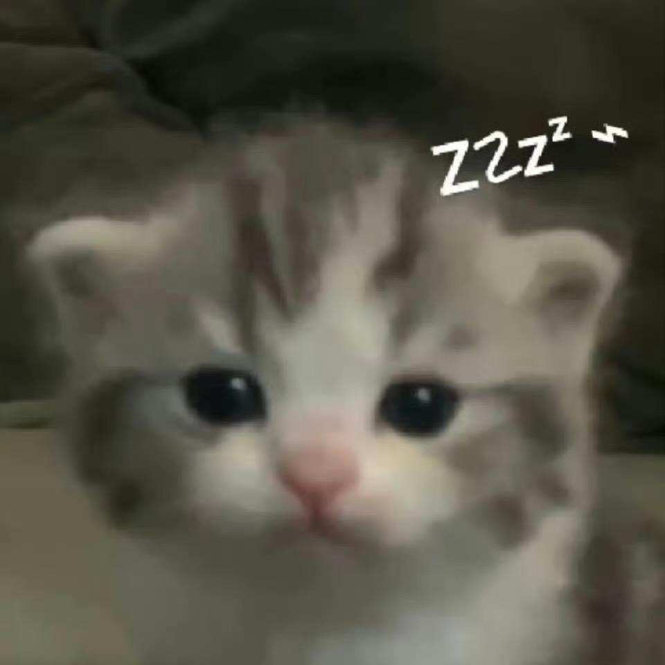 鱼了了
