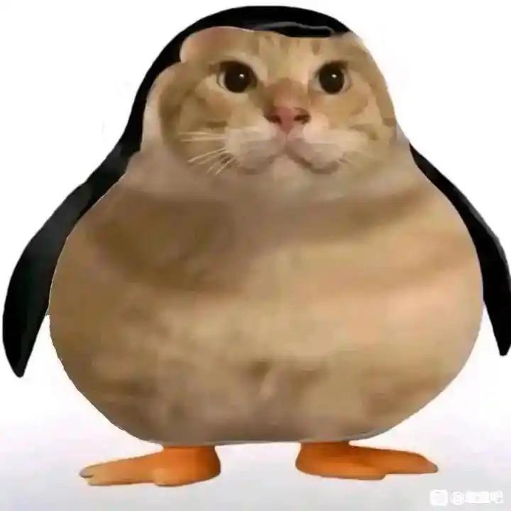 觉醒者蜂蜂