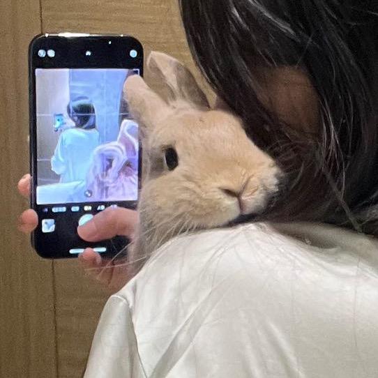 好运恩恩૮ ºﻌºა