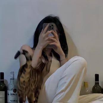 🍓睡个好觉