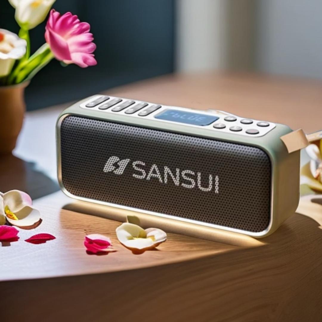 山水音响直播间