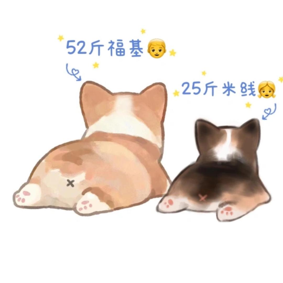 米线福基小满的日记